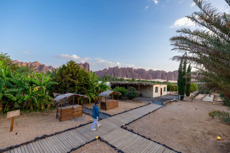 Camping Area at Pangaea Center| AlUla