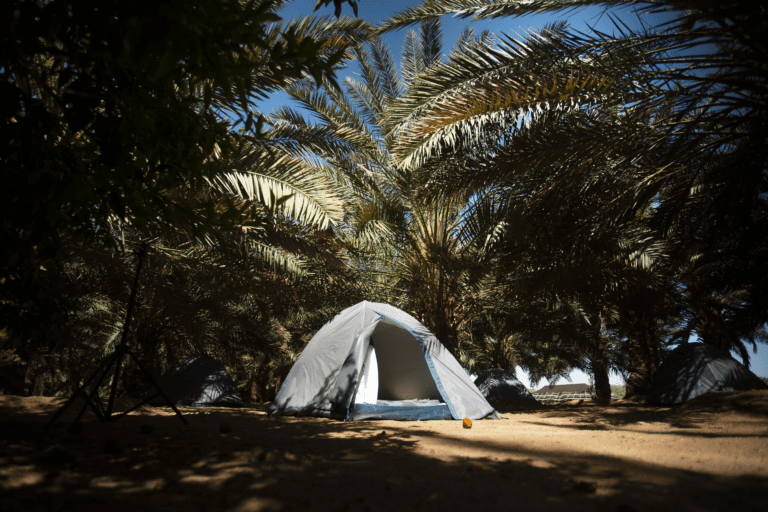 Basic Camping at PANGAEA Center